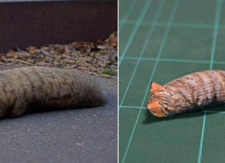 日神人「具象化」12張網紅爆紅圖 魔性公仔竟讓人越看越想收藏~