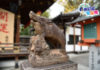 京都‧護王神社長輩必訪 靈豬護你足腰軟Q不酸麻